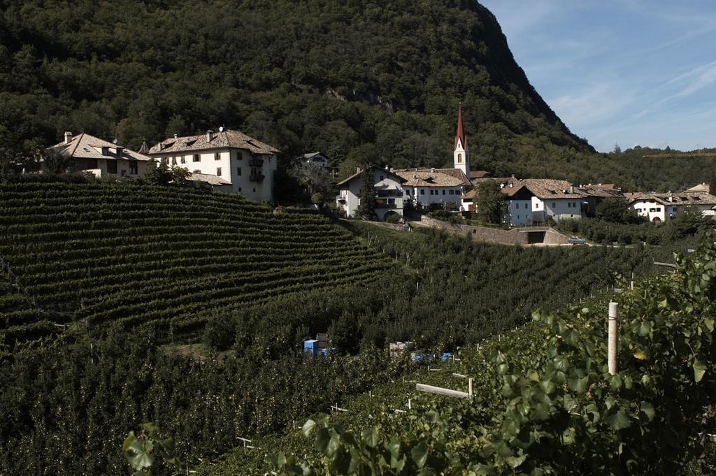 Biobauernhof St. Quirinus Apartment Caldaro Luaran gambar