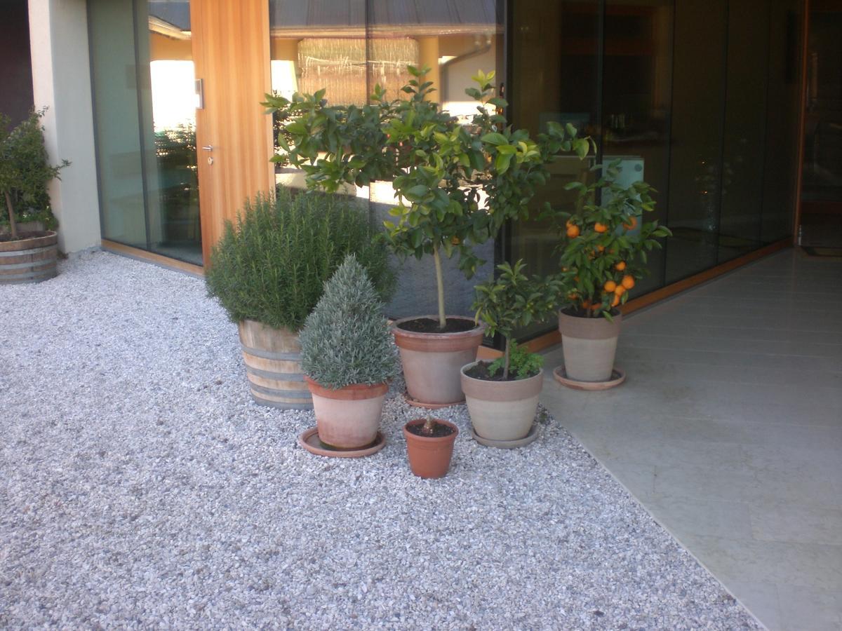Biobauernhof St. Quirinus Apartment Caldaro Luaran gambar